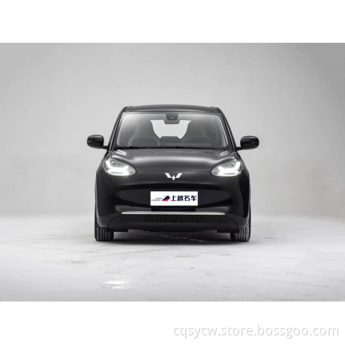 Swing Door Pickup Truck Wuling Bingguo 2023 333km الفرح استمتع بملاح